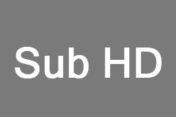 SubHD字幕插件