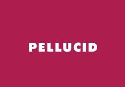 Pellucid 极简风格