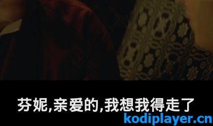 Kodi字幕自定义字体 修改默认字体样式